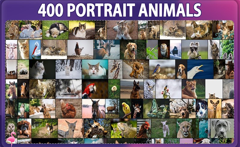 400 张动物肖像参考照片 400 Portrait Animals Reference Pack – Vol 1