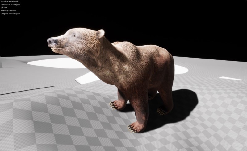 【UE4/5】写实熊动画 Bears pack