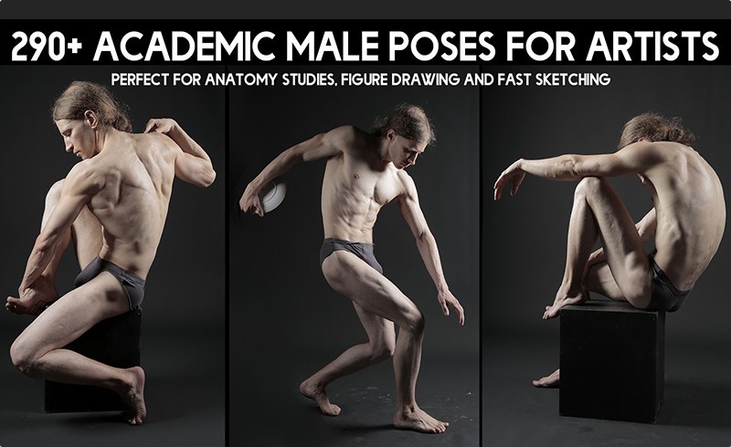 290 张男性肌肉解剖姿势参考图片 290+ Academic Male Pose Reference Pictures for Artists