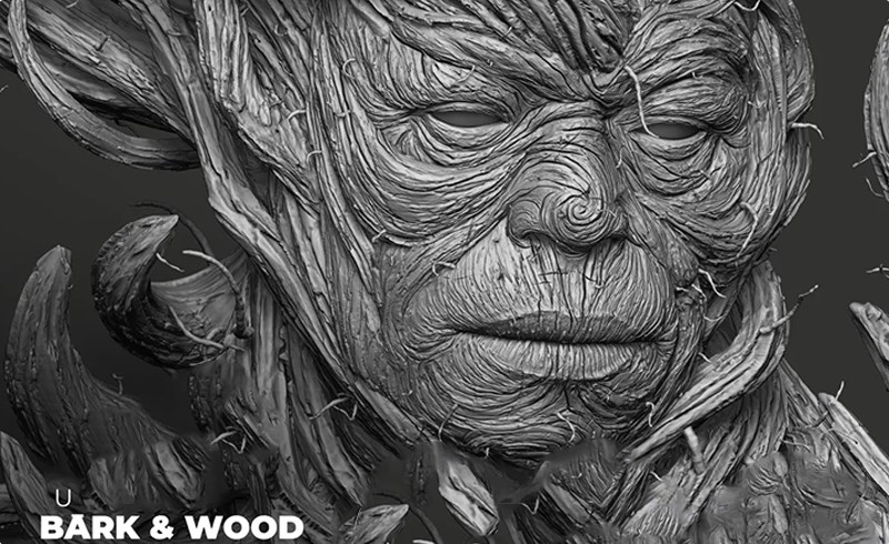 Zbrush笔刷 – 树皮木材笔刷 Bark & Wood brushes pack