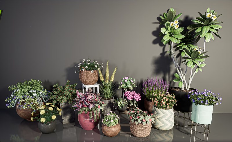 【UE4/5】鲜花植物 HQ Plants Vol. 6 ( Flowered Plants )