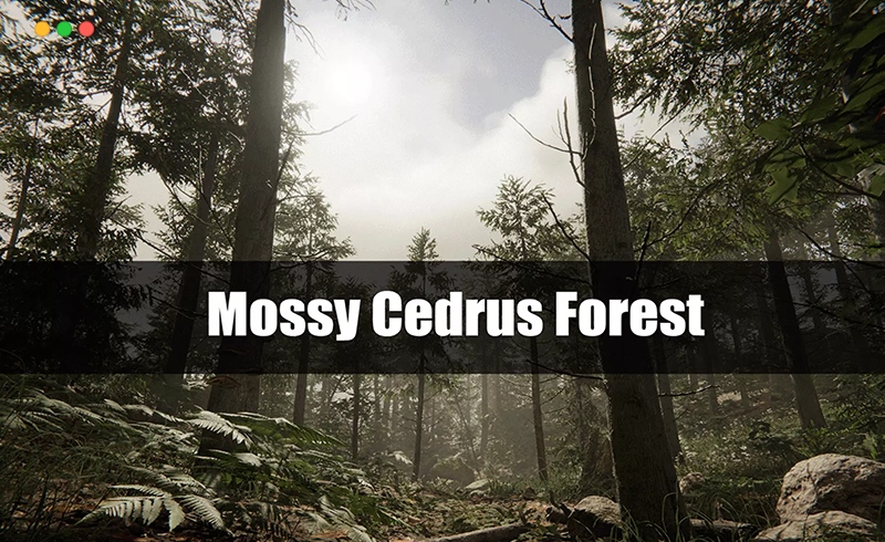 Unity场景 – 长满苔藓的雪松森林 Mossy Cedrus Forest
