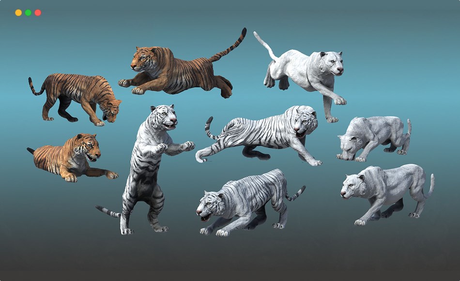 【UE5】亚洲虎 Asian Animal – Tiger