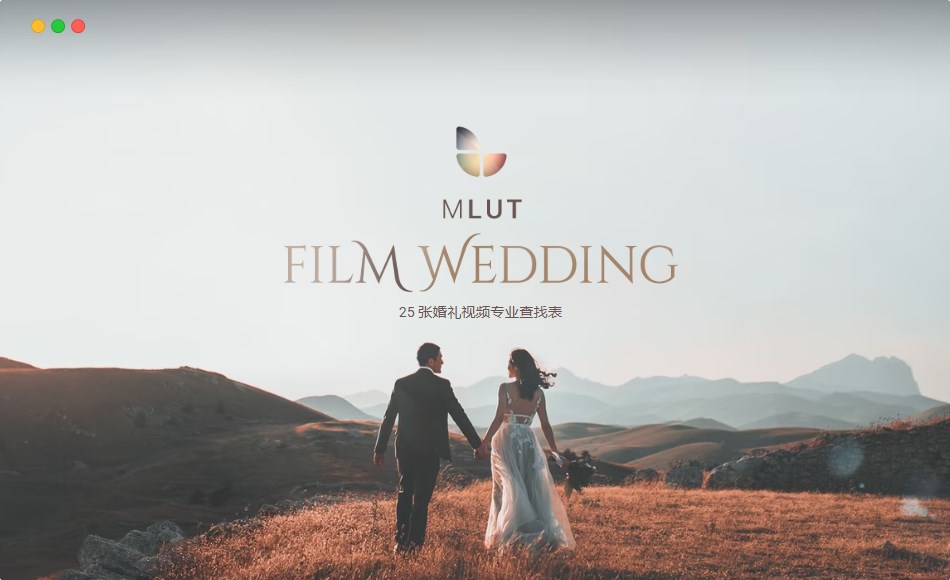 【LUT】 电影婚礼色彩预设 mLUT Film Wedding – 25 Professional LUT Pack
