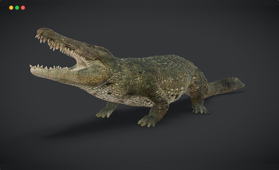 【UE4/5】写实鳄鱼 Realistic Crocodile
