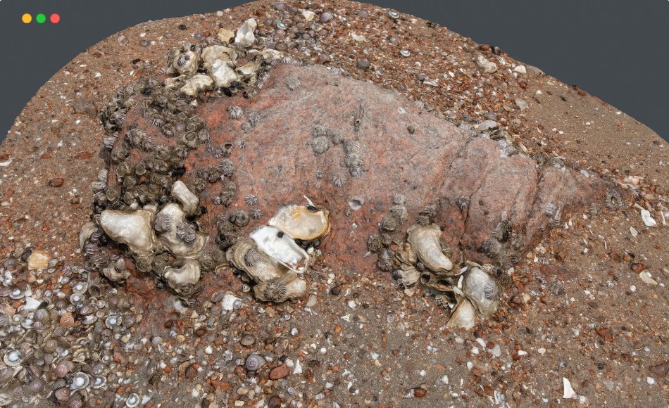 高精度扫描模型海滩岩石 Photoscan_Beach Rock_0015_only HighPoly Mesh (16K Texture)