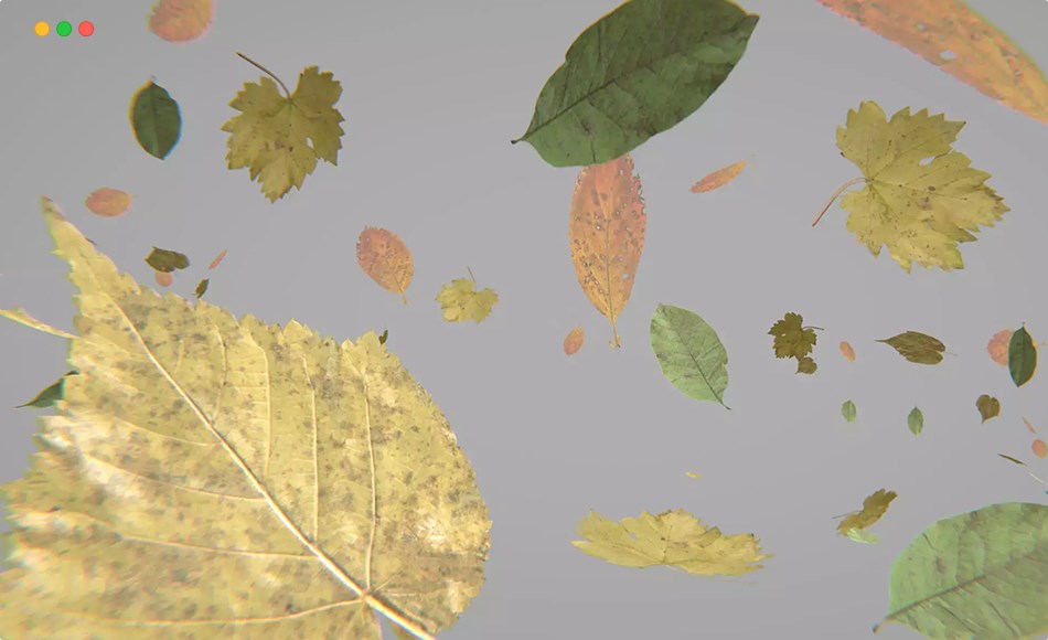 Unity资产 – 吹落的树叶 Blowing Leaves