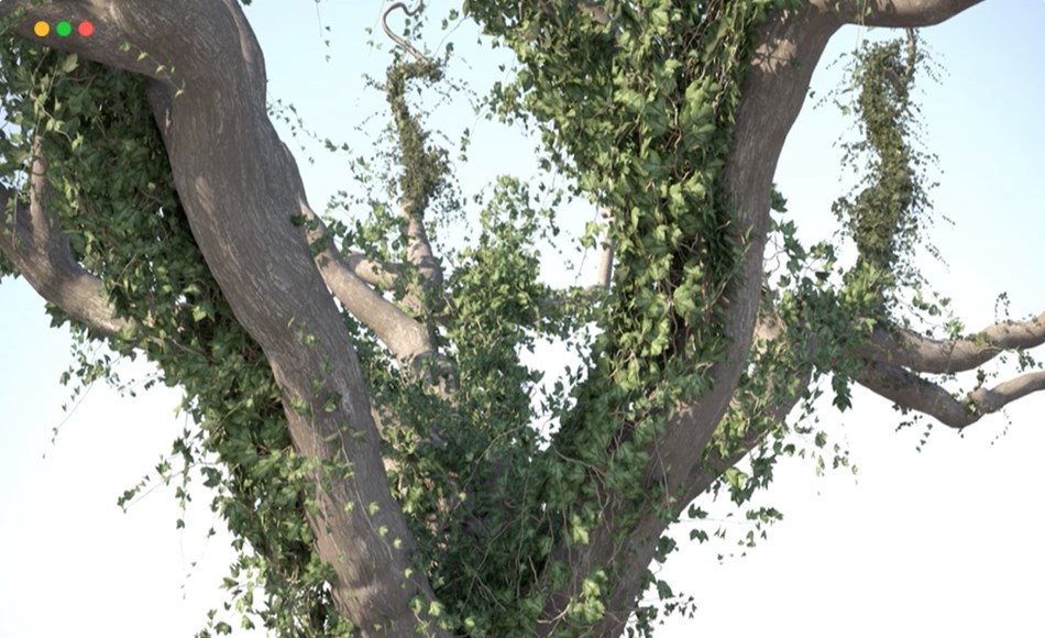 3Dmax插件 – 藤蔓插件 Gtools Ivy for 3dsMax