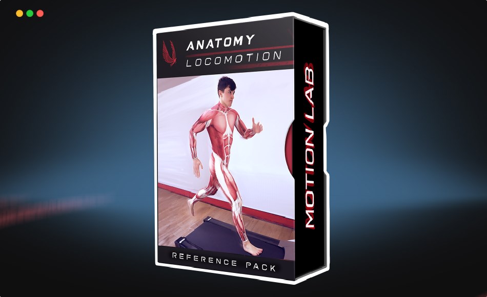 角色肌肉解剖跑步动作参考视频 Anatomy Locomotion Pack