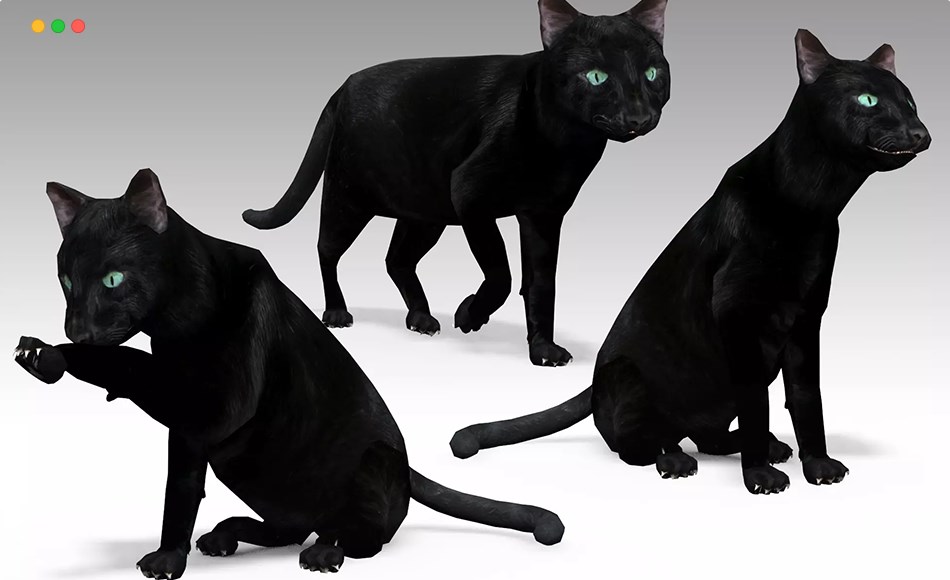 Unity动画 – 黑猫动画 Black Cat Animated