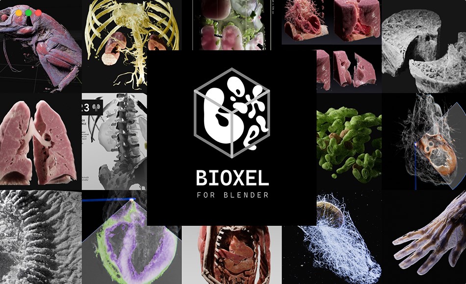 Blender插件 – Bioxel Nodes