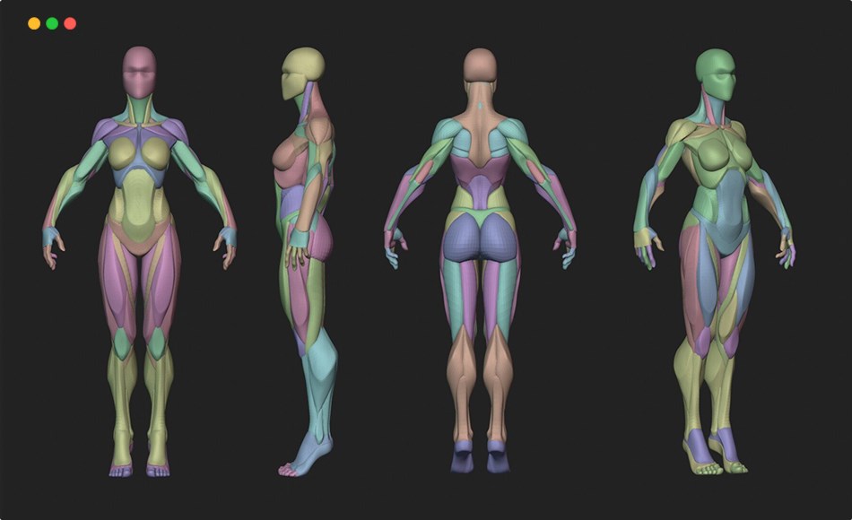 模型资产 – 风格化女性解剖模型 Stylized Female Anatomy Blockout v1