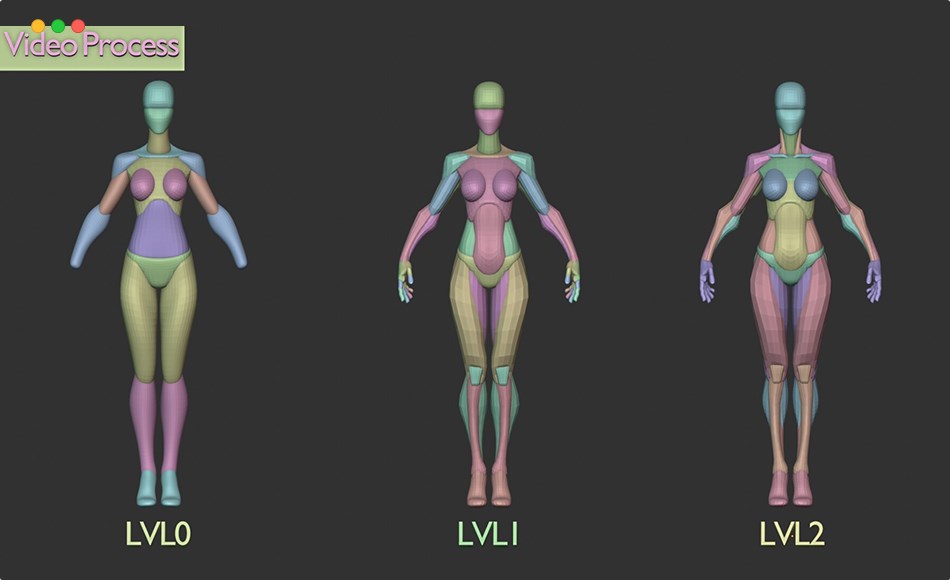 模型资产 – 女性角色解剖模型频制作教程 Female Blockout Video Process