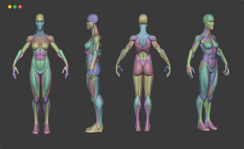 模型资产 – 风格化女性解剖模型 Stylized Heroine Anatomy Blockout