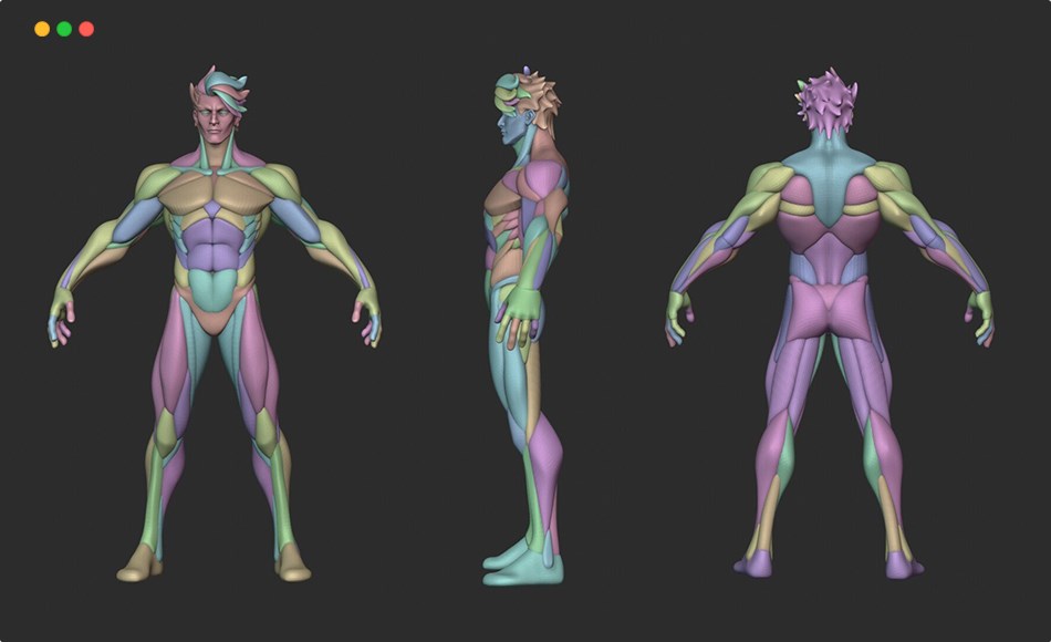 模型资产 – 风格化战士角色解剖模型 Stylized Warrior Anatomy