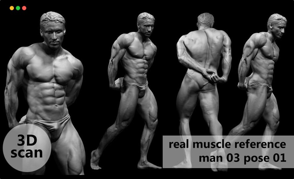 模型资产 – 3D扫描真实肌肉解剖 3D scan real muscleanatomy Man03 pose 01