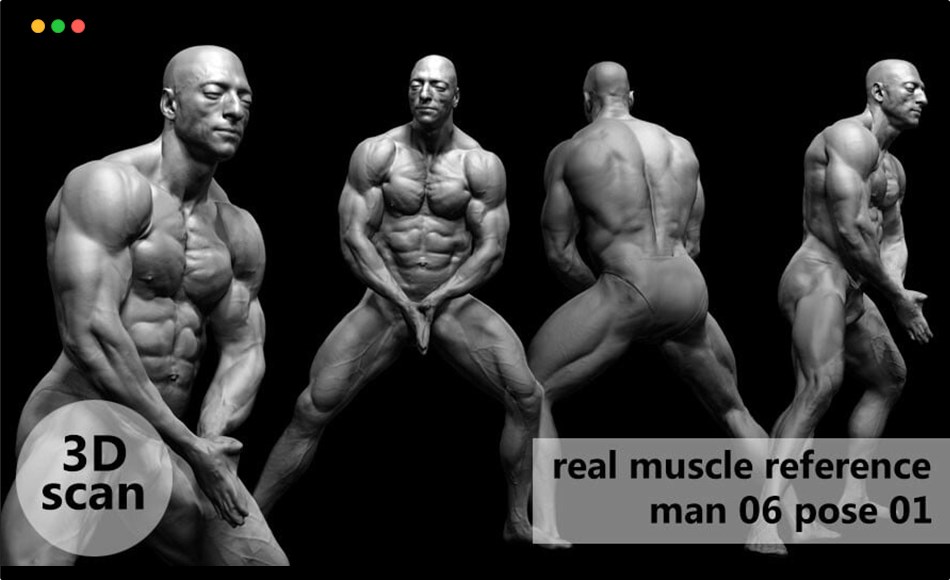 模型资产 – 3D扫描真实肌肉解剖 3D scan real muscleanatomy Man06 pose 01