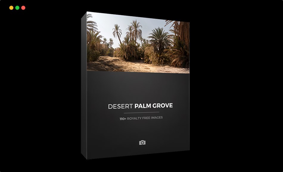 沙漠棕榈树林 Desert Palm Grove