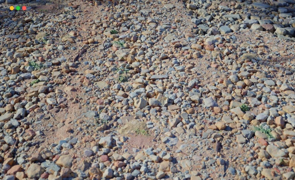 SP材质 – 岩石纹理生成器 Small Rocks Textures and Generators (Game Ready)