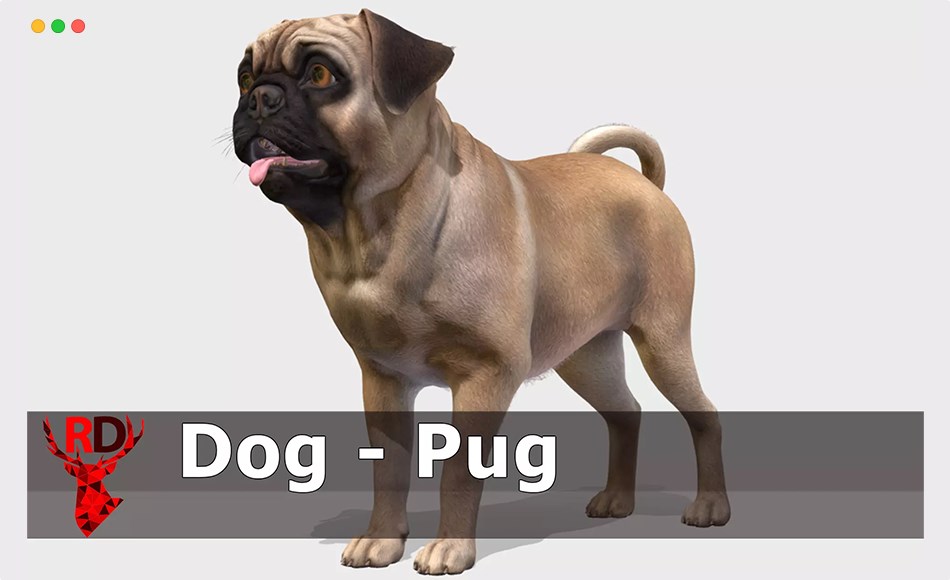 Unity动物 – 哈巴狗 Dog – Pug
