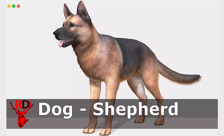 Unity动物 – 牧羊犬 Dog – Shepherd