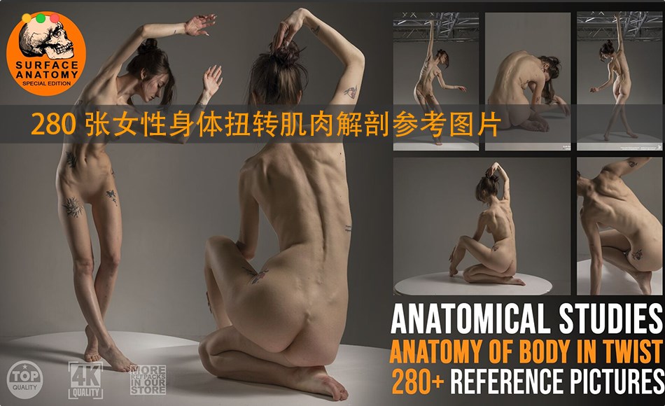 280 张女性身体扭转肌肉解剖参考图片  280+ Anatomy of Body in Twist
