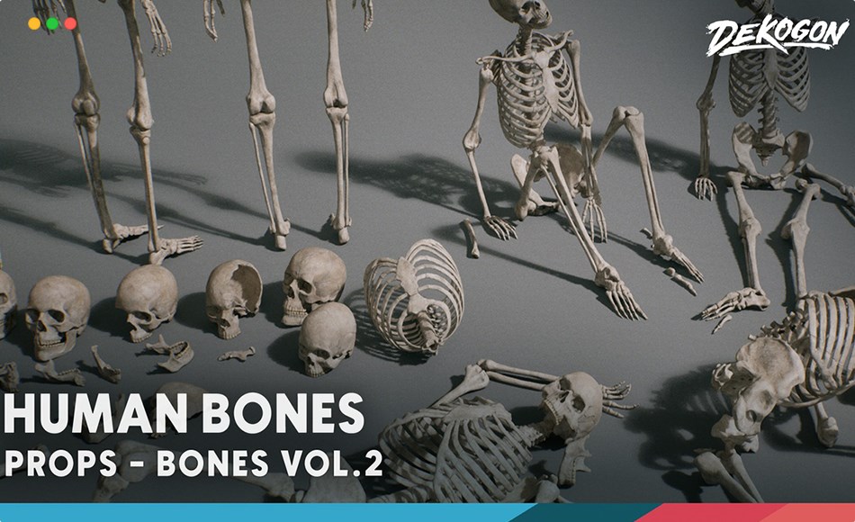 【UE5】骷髅骨头 Bones VOL.2 – Human Bones (Nanite + Low Poly)