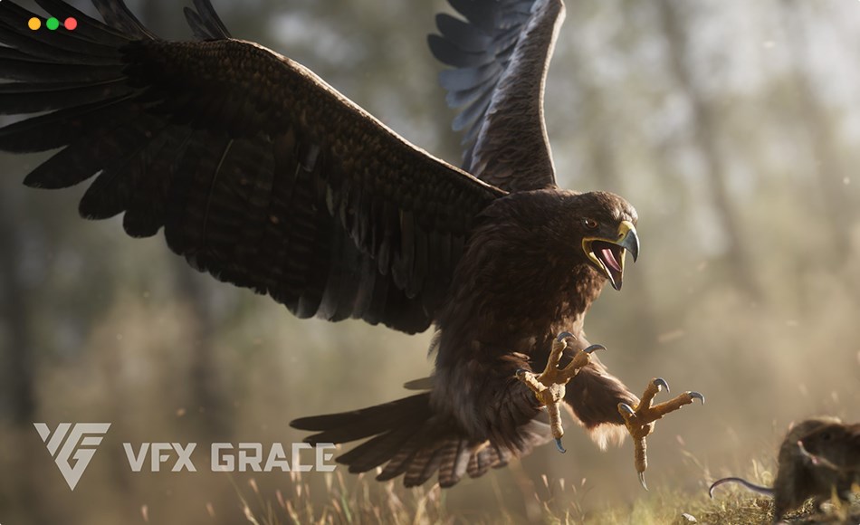 模型资产 – 写实老鹰模型动画 Aquila Nipalensis Animation Rigged 3D Model for Blender