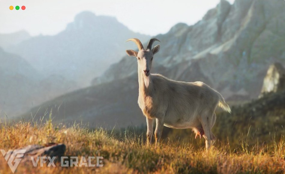 模型资产 – 写实山羊模型动画 Goat 01 Animated | Blender 3D Model