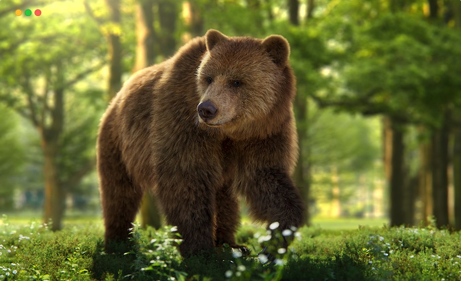 模型资产 – 写实棕熊模型动画 3D Animal for Blender | Female Brown Bear