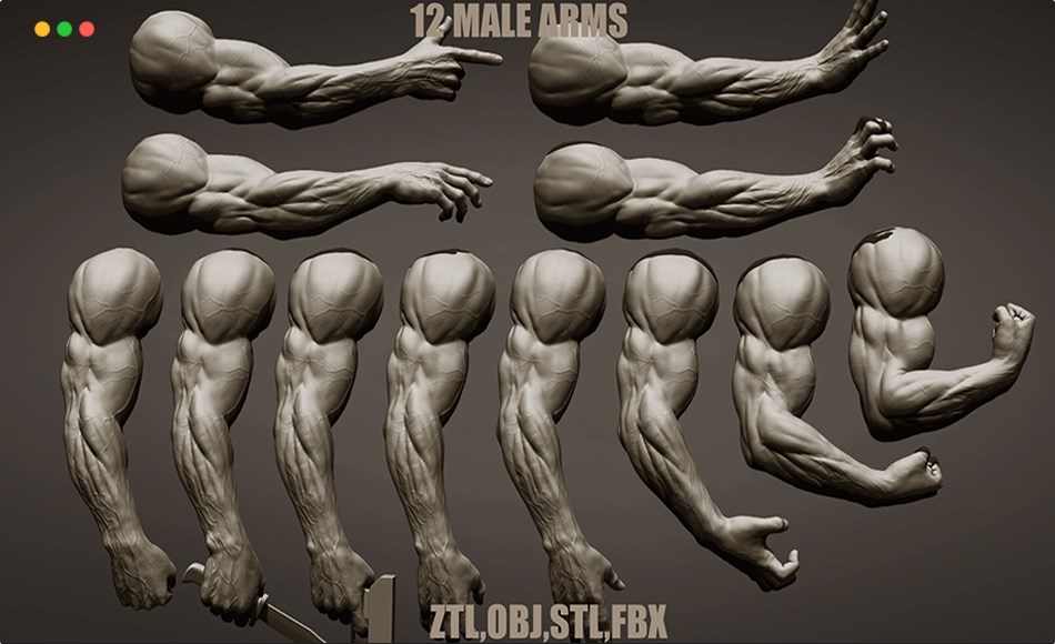 模型资产 – 写实手臂模型 12 male arms poses