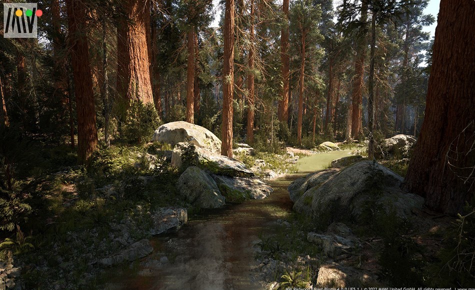 【UE5】红木树森林生物群系 MW Redwood Forest Trees Biome