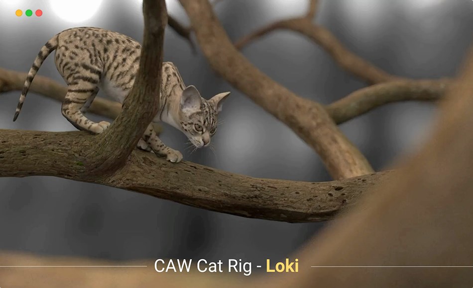 Maya绑定 – 写实猫绑定 Loki – Cat Rig