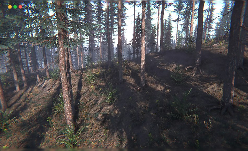 Unity植物 – 云杉树 Spruce Trees Pack