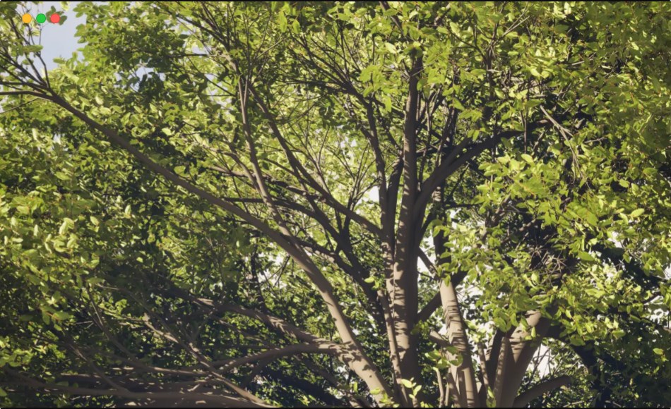 Houdini插件 – 高度精细的植物系统 Natsura