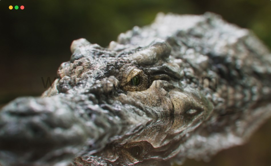 【中文字幕】Mari教程 – 制作逼真生物纹理 REALISTIC Creature Texturing Painting Tutorial Using Mari