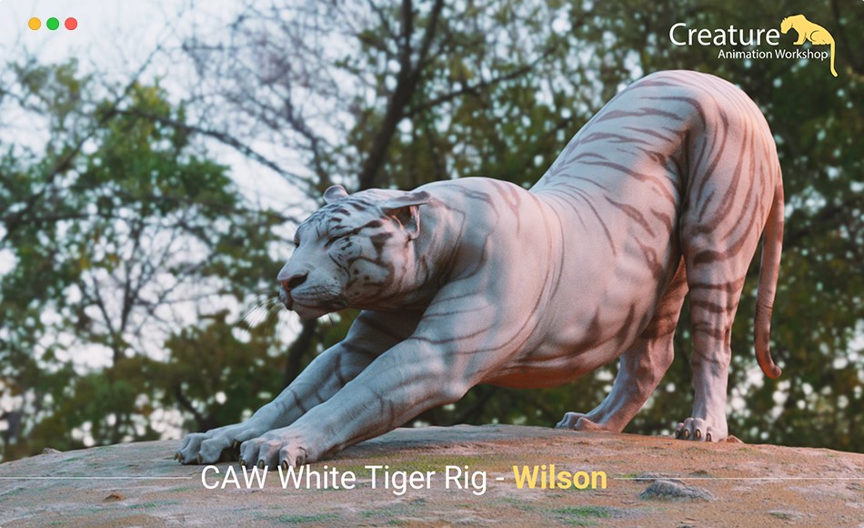Maya绑定 – 写实老虎绑定 Wilson – White Tiger Rig