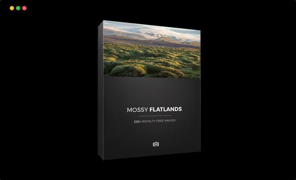 青苔平原 MOSSY FLATLANDS
