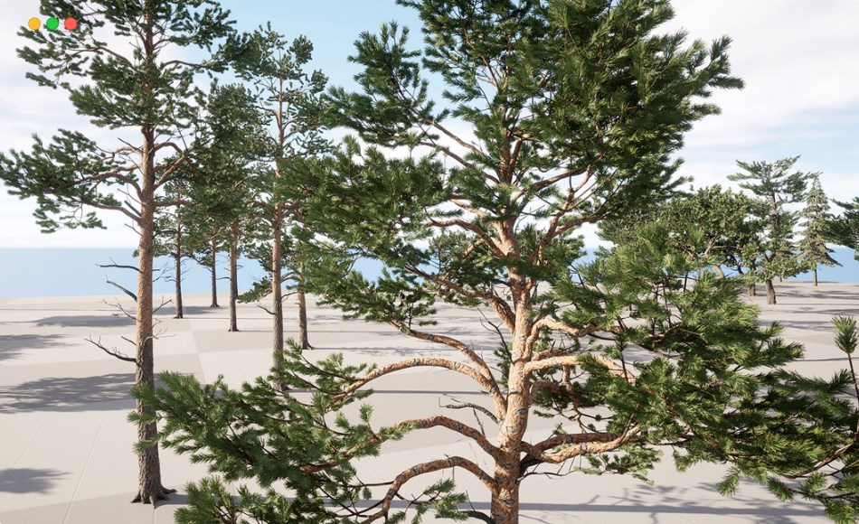 【UE5】针叶树植物 DZ Trees – Conifers (Pines, Cypresses and Firs)