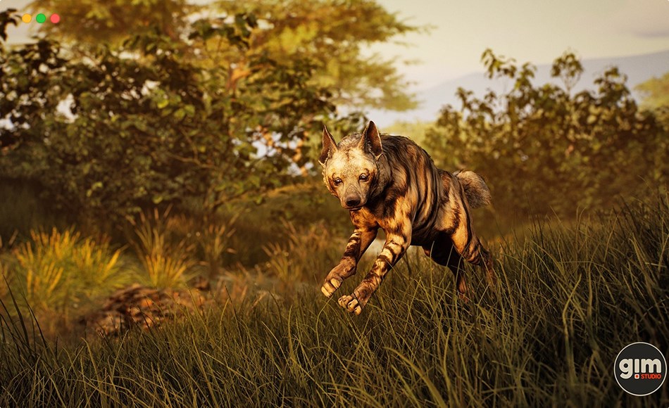 【UE5】鬣狗动画 Animalia – Striped Hyena (male)