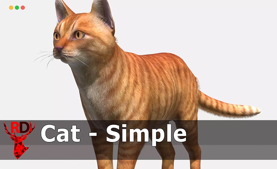 Unity动画 – 写实猫动画 Cat – Simple