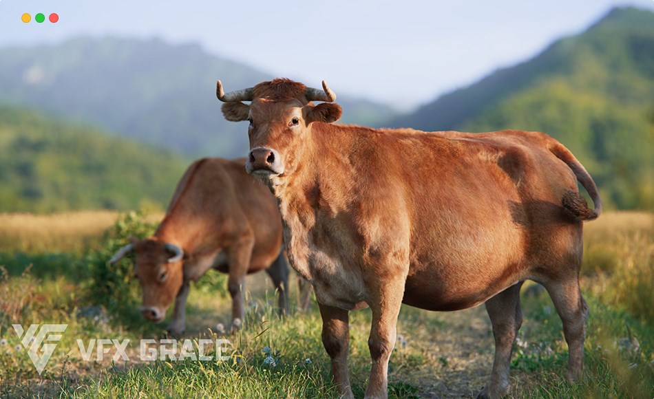 模型资产 – 写实黄牛动画3D模型 Cattle 3D Model with Animation – Blender Compatible, High Detail