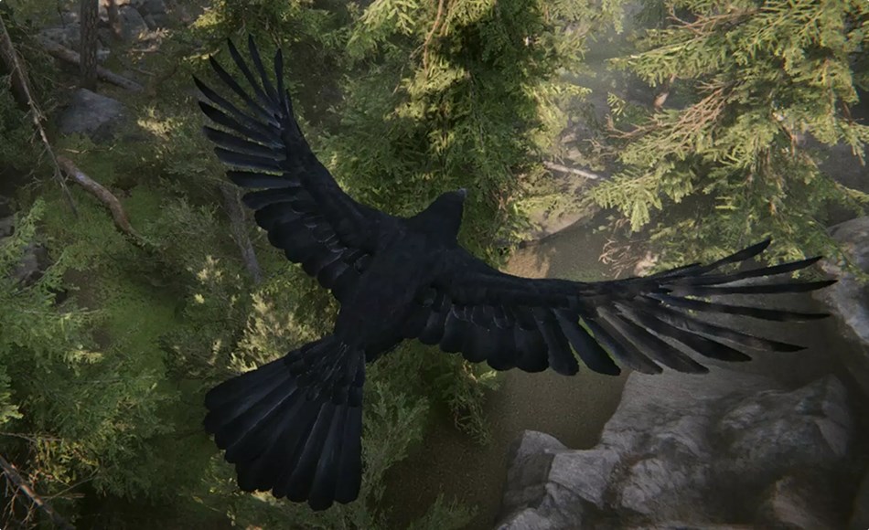 Unity动画 – 乌鸦动画 Ravens and Crows