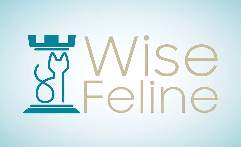 Unity插件 – 沉浸式人工智能系统 Wise Feline (Immersive & Emergent Ultimate Utility AI) Unity插件 – 沉浸式人工智能系统 Wise Feline (Immersive & Emergent Ultimate Utility AI)