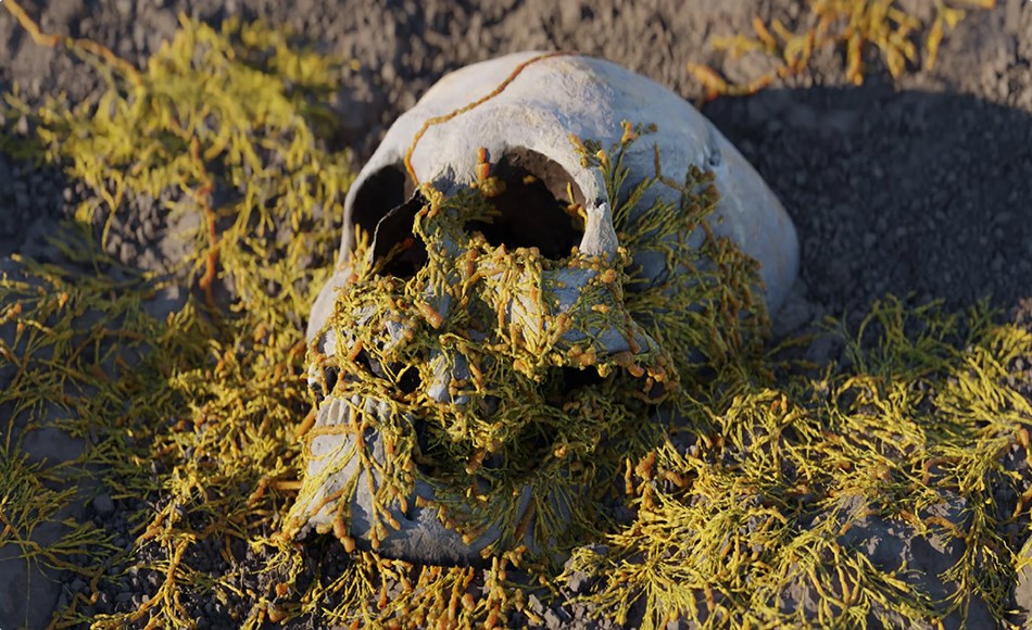 Blender版本 – 程序化真菌植物生长动画 Procedural Fungus Growth (Blender 3.5 Tool) Blender版本 – 程序化真菌植物生长动画 Procedural Fungus Growth (Blender 3.5 Tool)