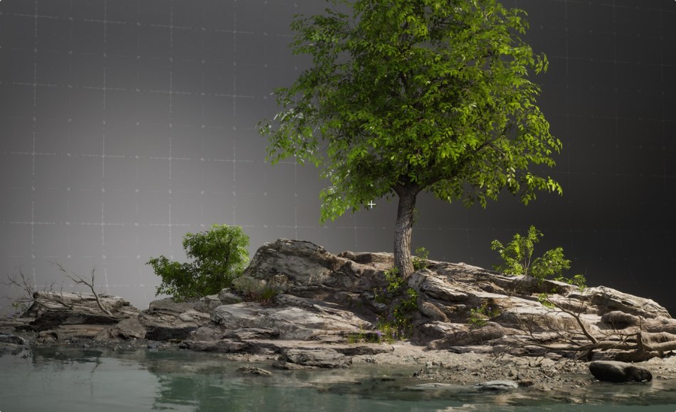 【UE5】写实岩石大树 Realistic RiverRock