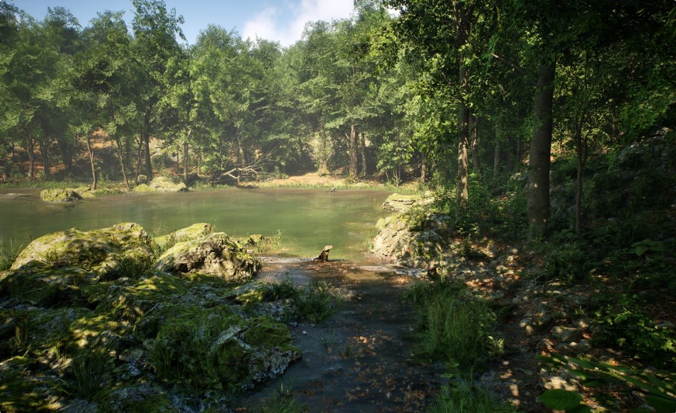 【UE4/5】阔叶树森林生物群落 MW Broadleaf Trees Forest Biome 【UE4/5】阔叶树森林生物群落 MW Broadleaf Trees Forest Biome