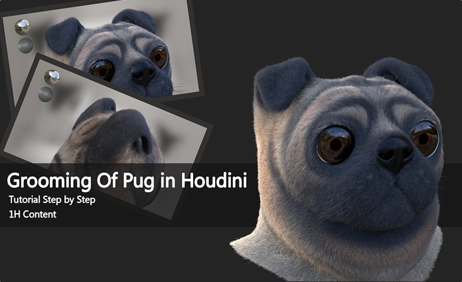 【中文字幕】毛发模拟创建教程 Grooming Of Pug In Houdini 【中文字幕】毛发模拟创建教程 Grooming Of Pug In Houdini