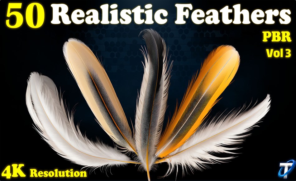 25 组写实羽毛纹理 25 Realistic Feather – PBR Textures (MEGA Bundle) – Vol 3