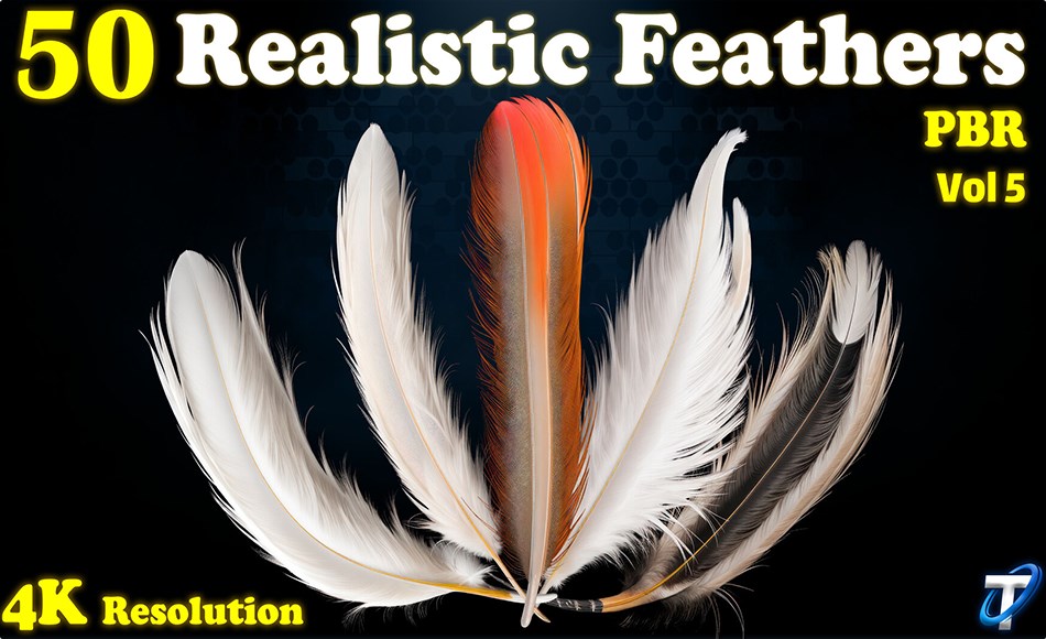 25 组写实羽毛纹理 25 Realistic Feather – PBR Textures (MEGA Bundle) – Vol 5